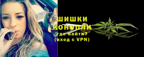 твердый Абаза