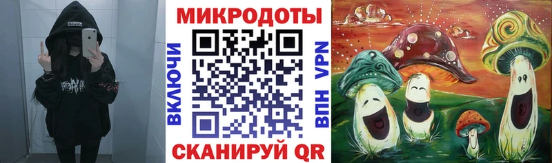 дарнет шоп Балахна Галлюциногенные грибы Cubensis